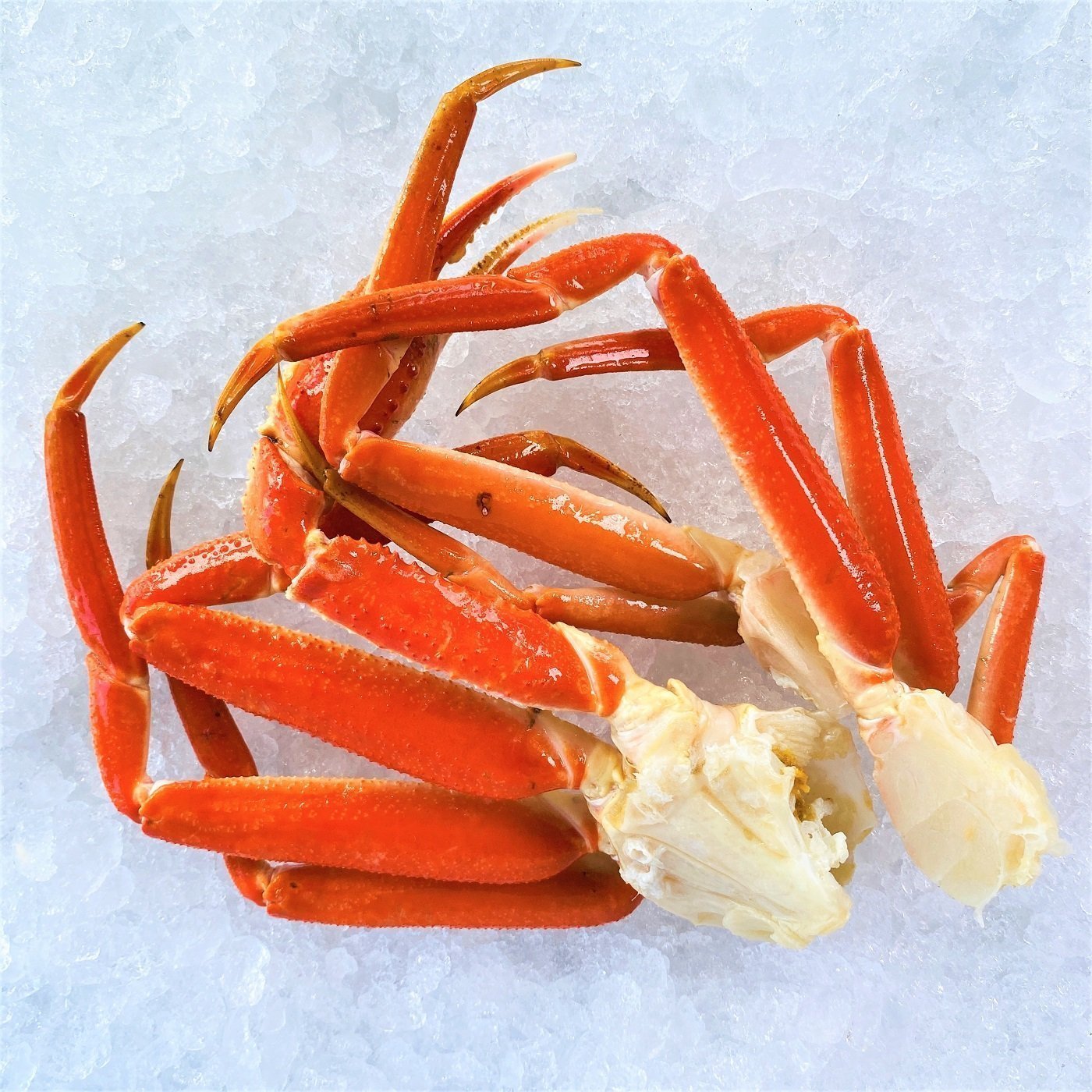 SNOW CRAB BY THE POUND